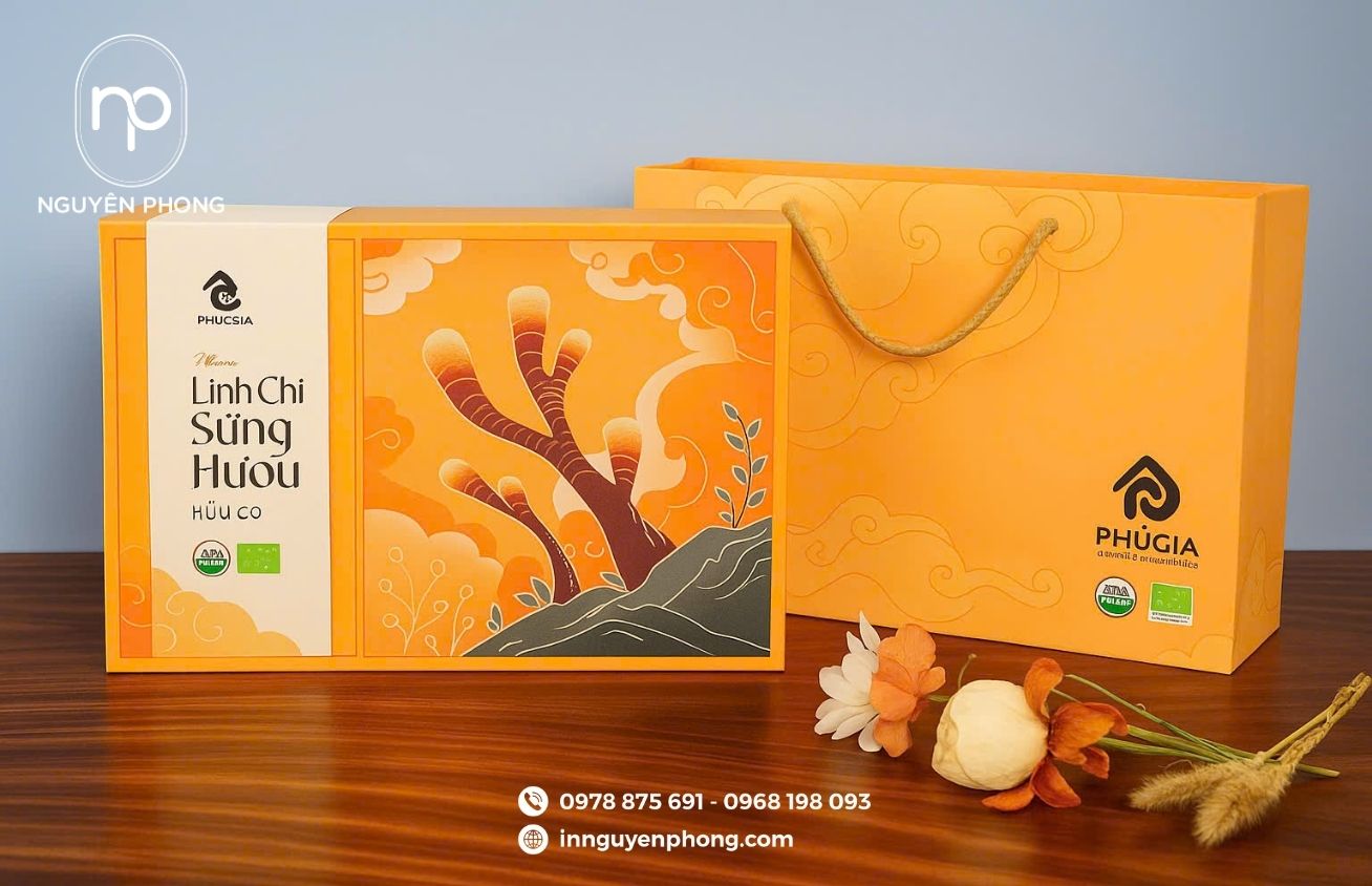 Mẫu hộp đựng linh chi kèm túi giấy